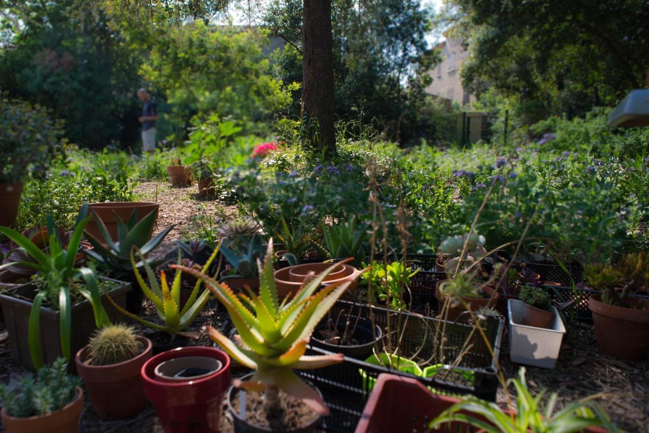 Ginkgo Bed & Breakfast Marseille Bagian luar foto